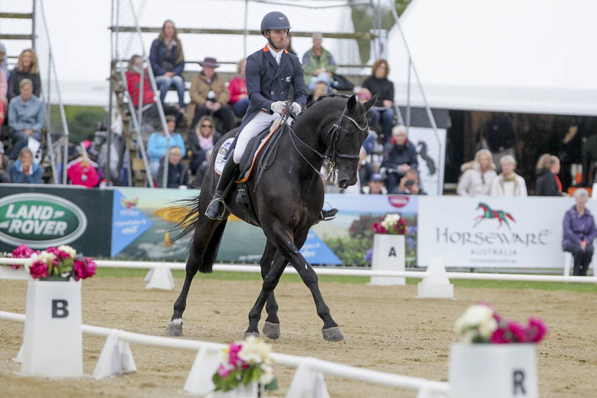 Horse of the year show1