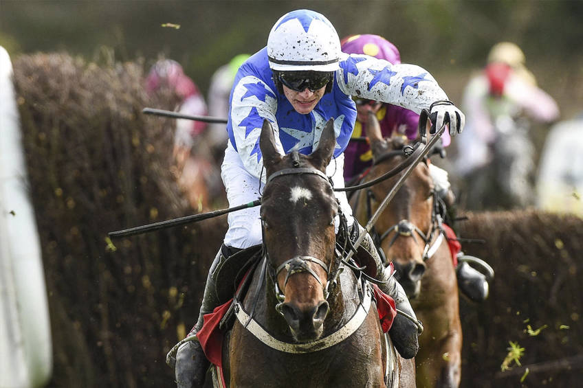 ladbrokes trophy day experience1