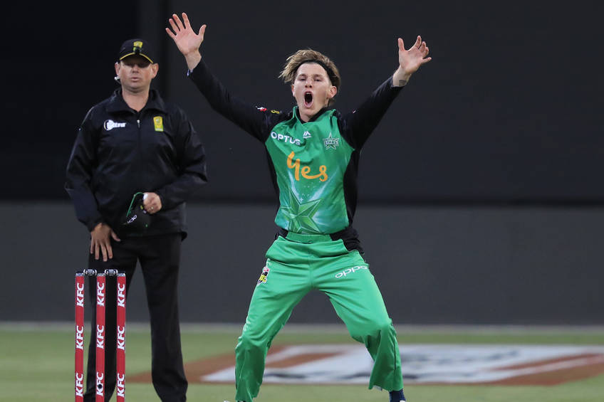 melbourne stars vip suite experience at metricon stadium0