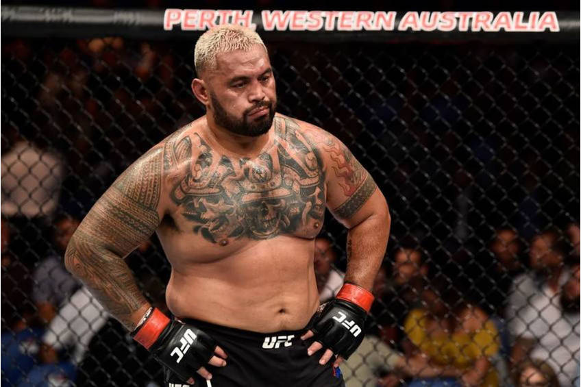 Mark Hunt UFC Training Experience1