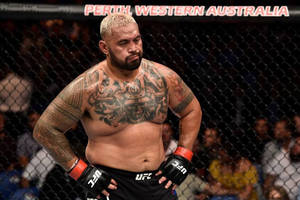 Mark Hunt UFC Training Experience1