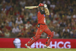 Melbourne Renegades Lounge Experience0