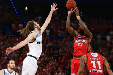 Perth Wildcats Court side Premium