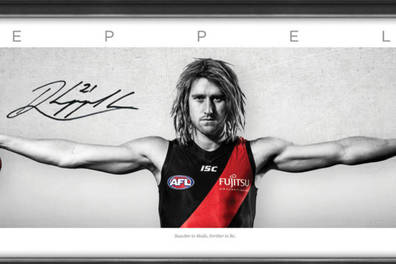 DYSON HEPPELL SIGNED WINGS