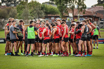 Essendon FC Exclusive Tour and Training Experience