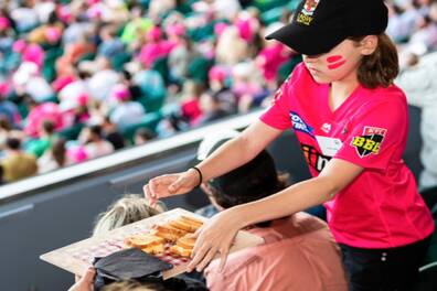 Sydney Sixers Outdoor Box