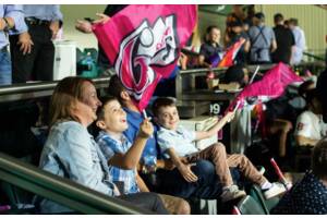 Sydney Sixers Private Suite BBL131