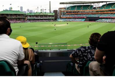 Sydney Sixers Gage Roads Bar Corporate Hospitality