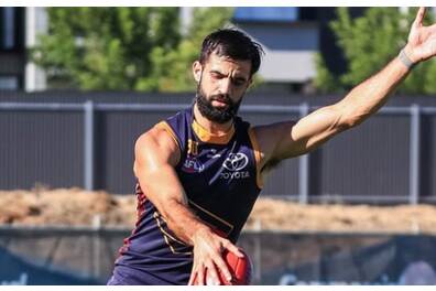 Aussie Rules Wayne Milera EXPERIENCE
