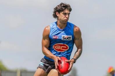 Aussie Rules Sean Lemmens EXPERIENCE