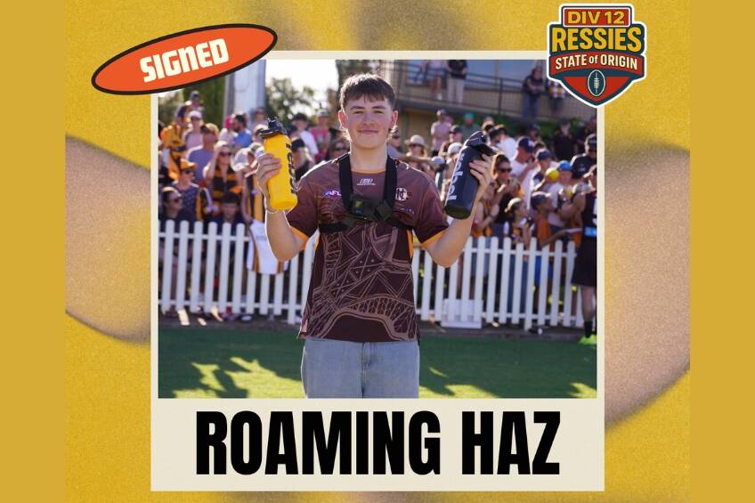 Div 12 Ressies Roaming Haz Guernsey0