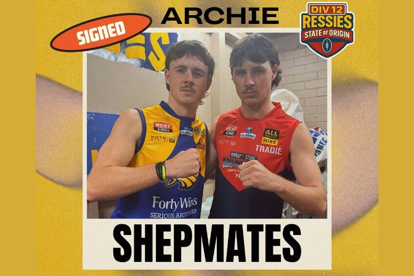 Div 12 Ressies Archie Shepmates Guernsey No.170