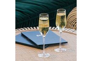 Sydney Seaplanes Sunset Dinner Flight2