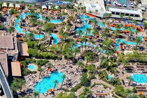 Melbourne Storm Las Vegas - MGM Grand Hotel Package4