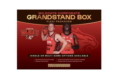 Perth Wildcats Grandstan Box 4pax