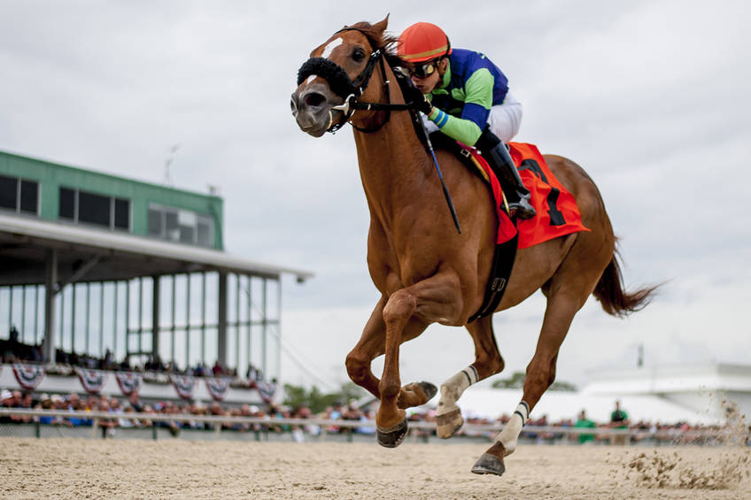 FAN+ 146th Kentucky Derby Experience